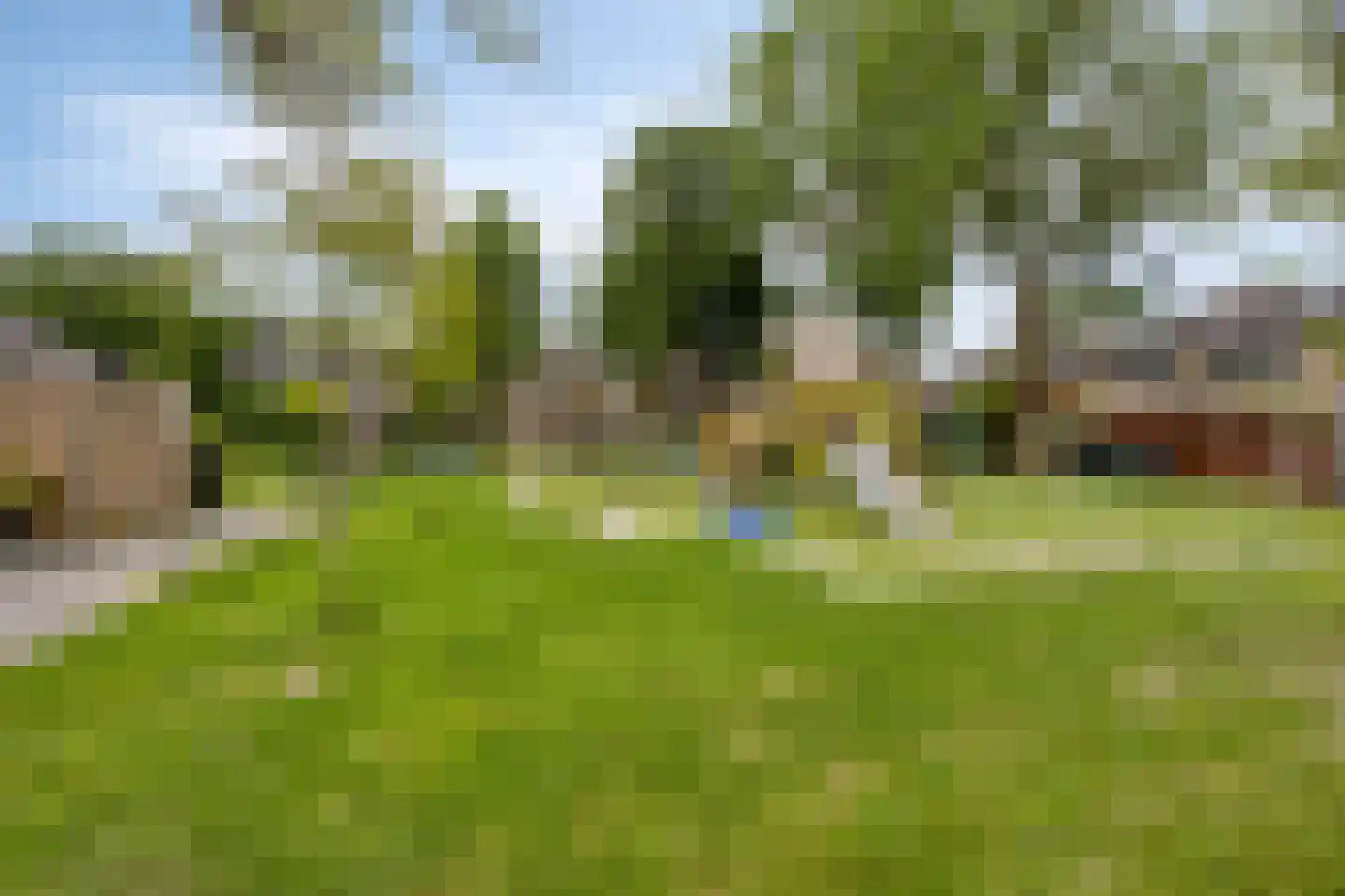 Veeringzoom 52 Koog aan de Zaan thumbnail 53