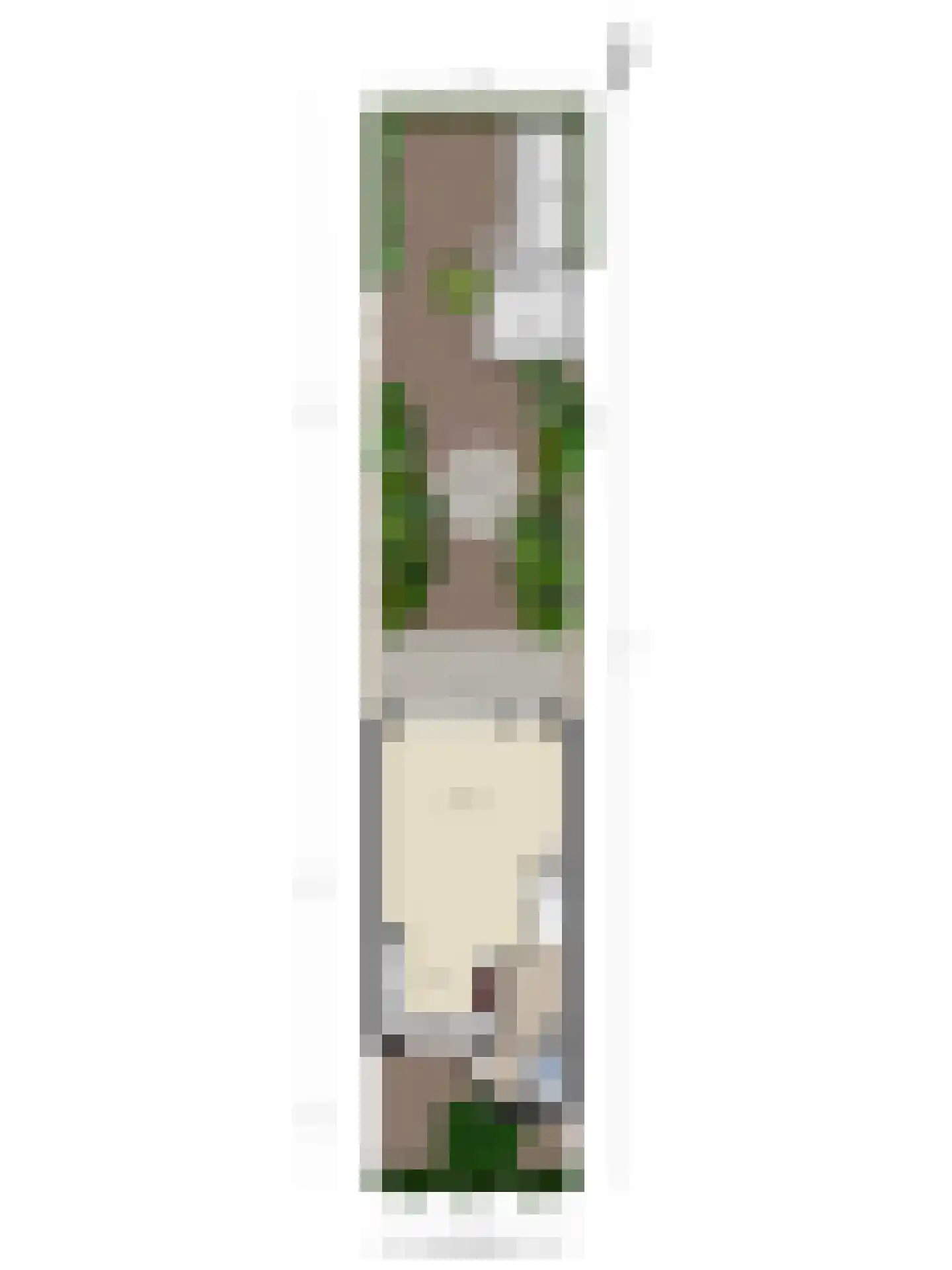 Veeringzoom 52 Koog aan de Zaan thumbnail 57