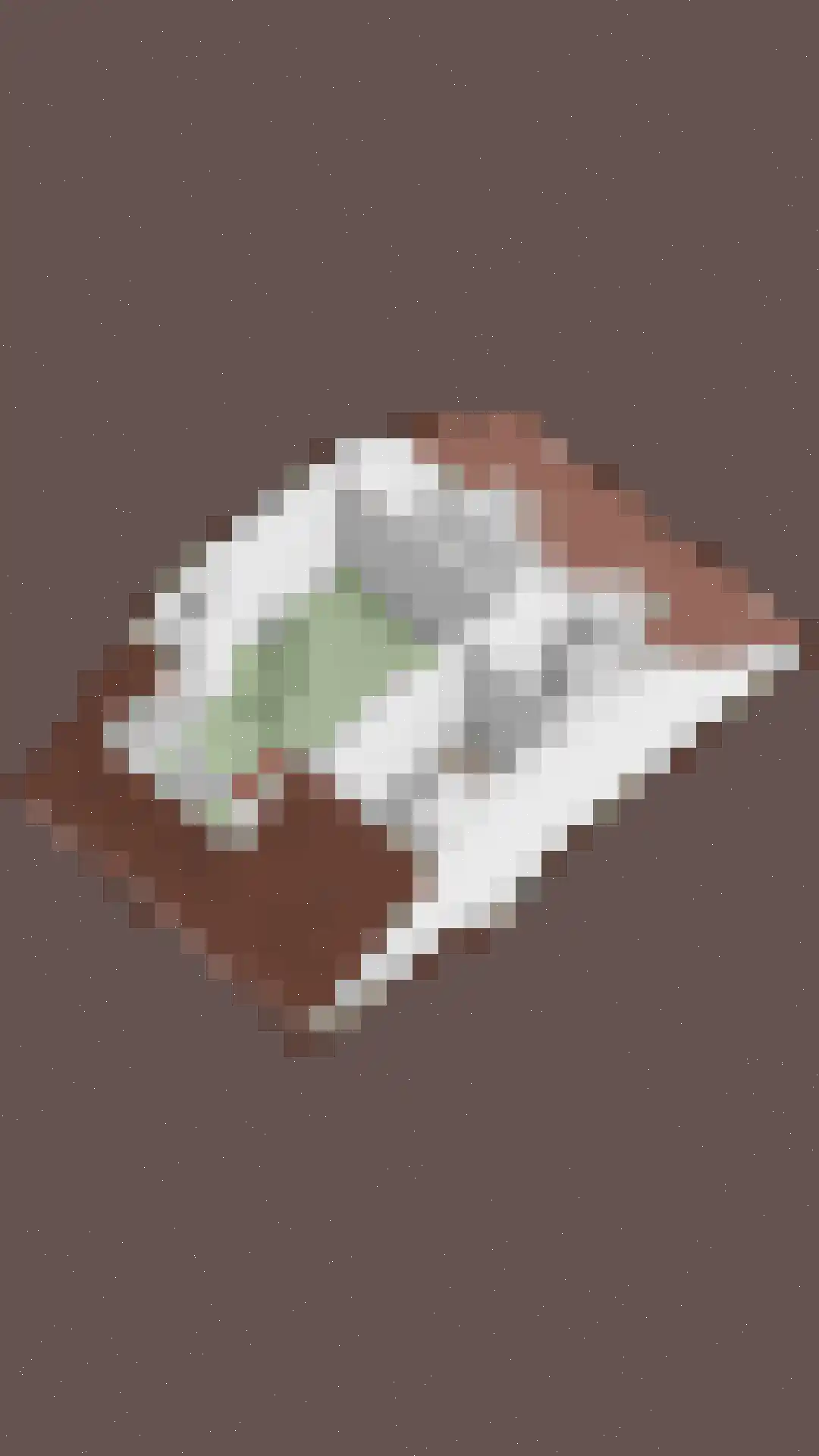 Veeringzoom 52 Koog aan de Zaan thumbnail 68