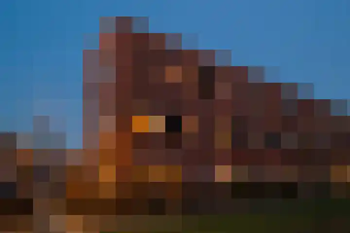 Veerispad 1 in Deventer