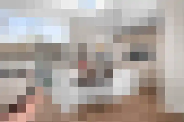 Veerispad 1 Deventer thumbnail 10