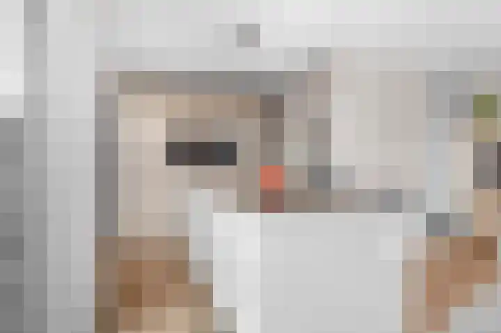 Veerispad 1 Deventer thumbnail 11
