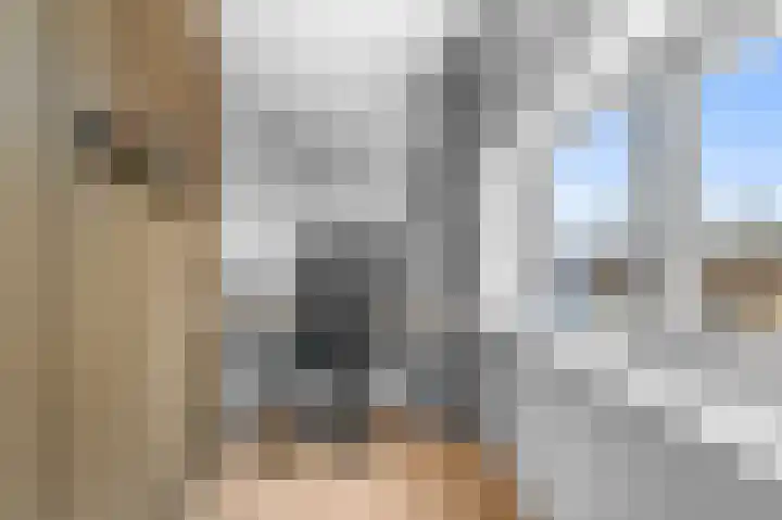 Veerispad 1 Deventer thumbnail 22