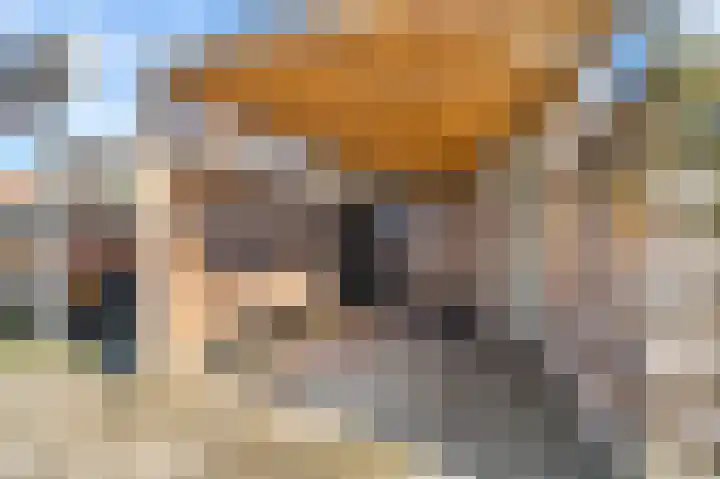 Veerispad 1 Deventer thumbnail 28