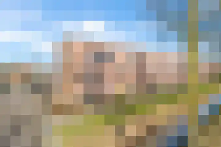 Veerispad 1 Deventer thumbnail 31
