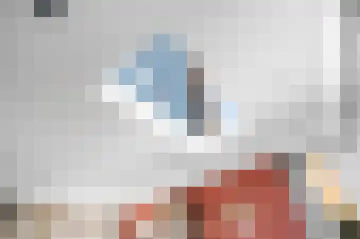 Veerispad 1 Deventer thumbnail 9
