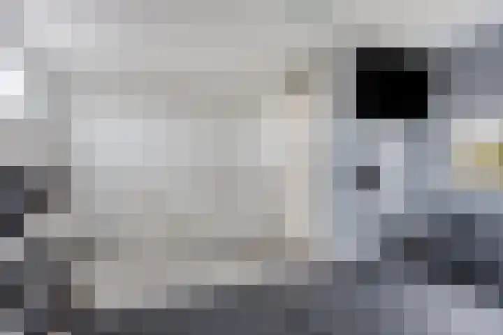 Veerispad 23 Deventer thumbnail 18