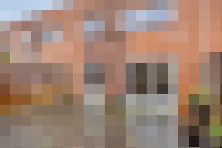 Veerispad 23 Deventer thumbnail 21