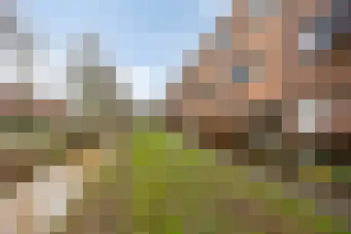 Veerispad 23 Deventer thumbnail 24