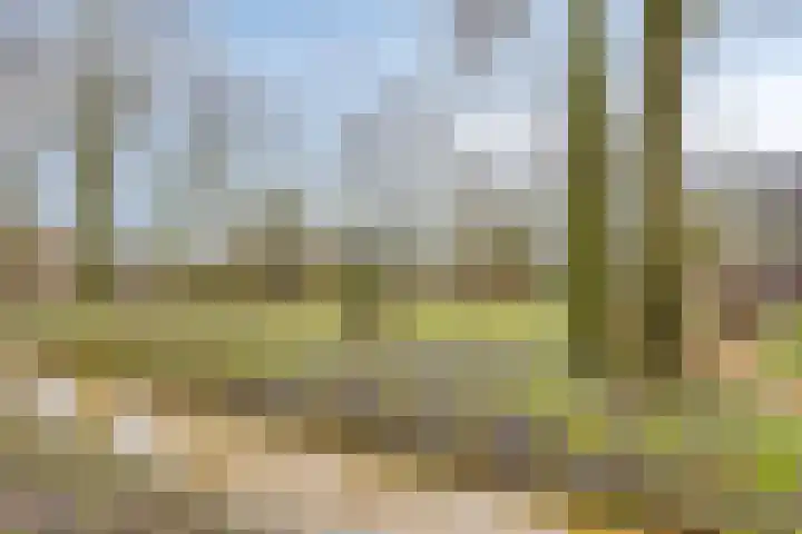 Veerispad 23 Deventer thumbnail 27