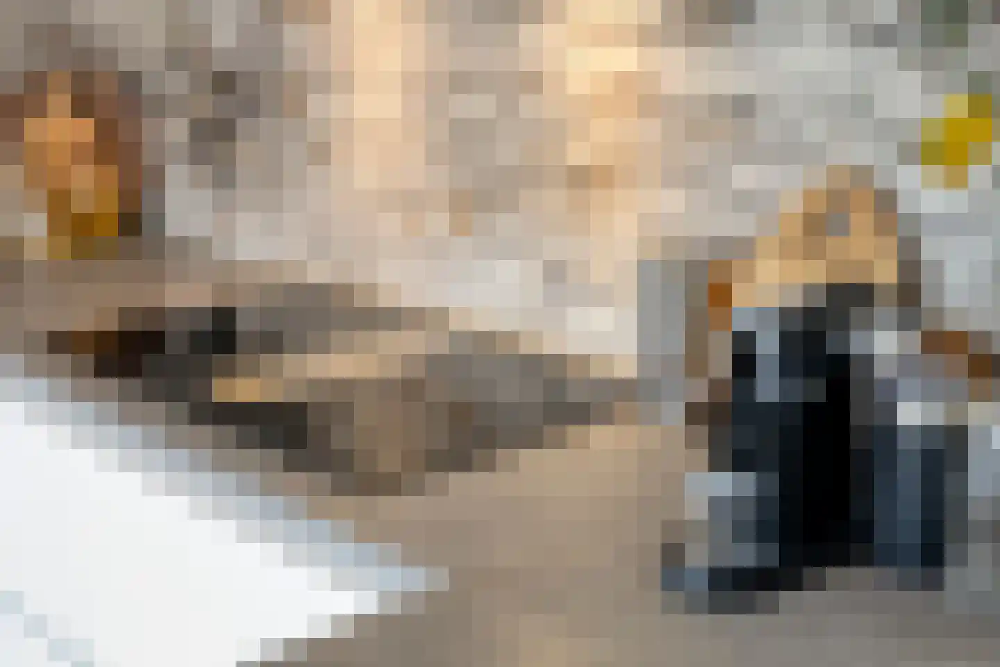 Veerispad 25 Deventer thumbnail 22