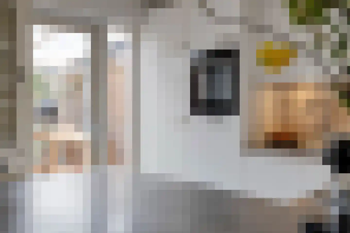 Veerispad 25 Deventer thumbnail 23