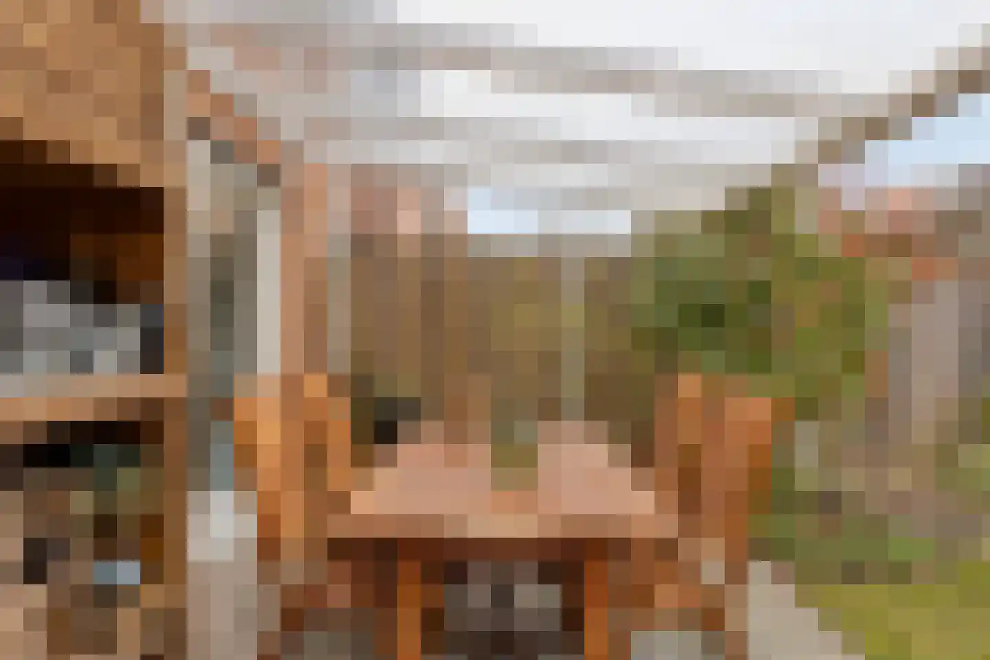 Veerispad 25 Deventer thumbnail 37