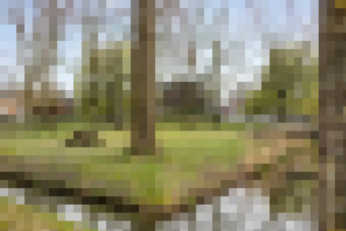 Veerispad 25 Deventer thumbnail 41