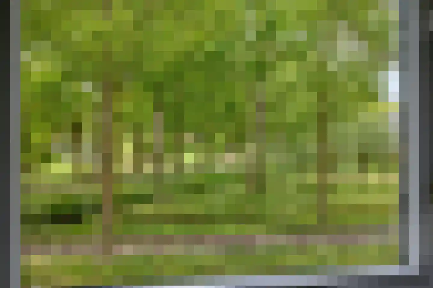 Veerispad 37 Deventer thumbnail 19