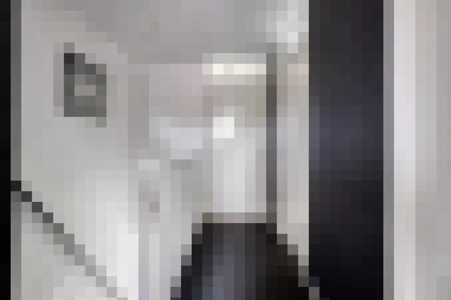 Veerispad 37 Deventer thumbnail 23