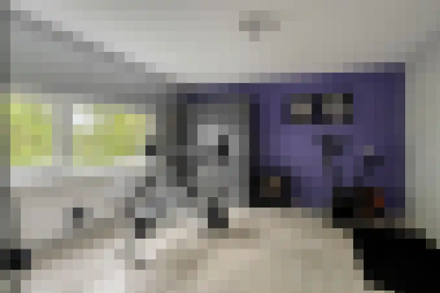 Veerispad 37 Deventer thumbnail 26