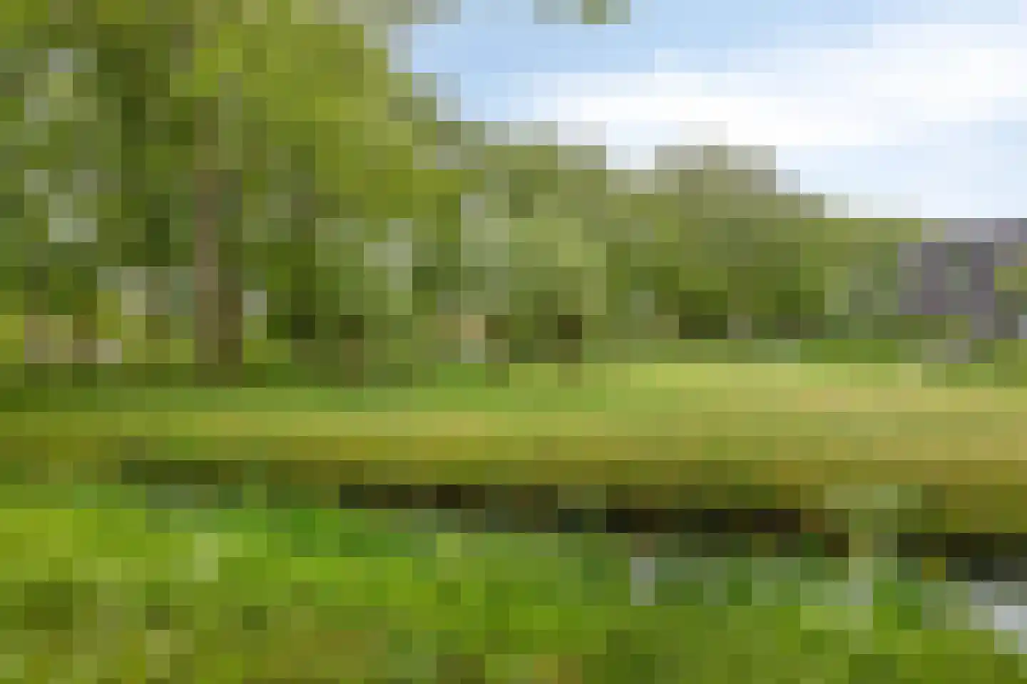 Veerispad 37 Deventer thumbnail 37