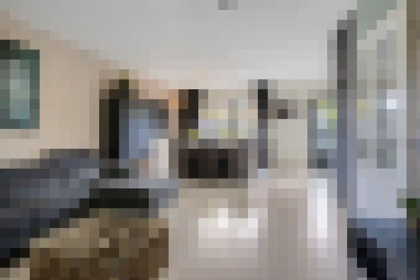 Veerispad 37 Deventer thumbnail 5