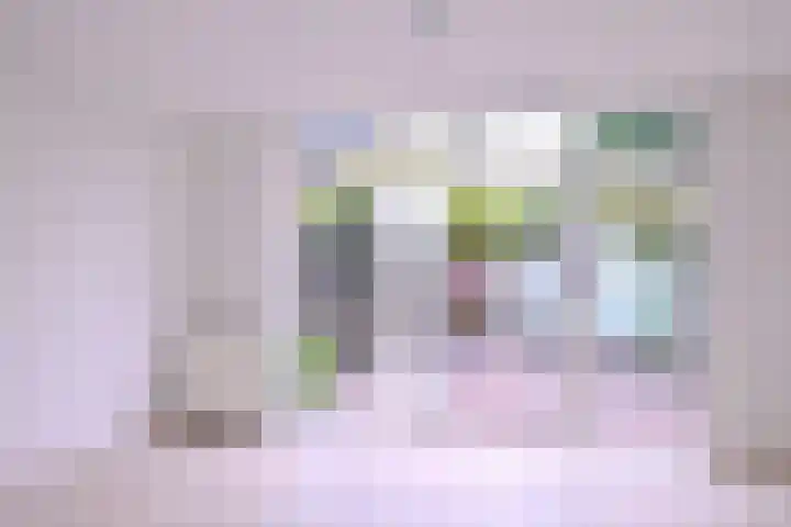 Veerispad 4 Deventer thumbnail 14