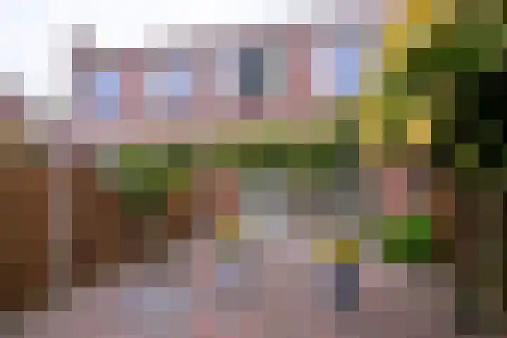 Veerispad 4 Deventer thumbnail 16