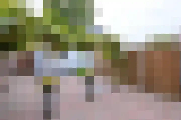 Veerispad 4 Deventer thumbnail 18