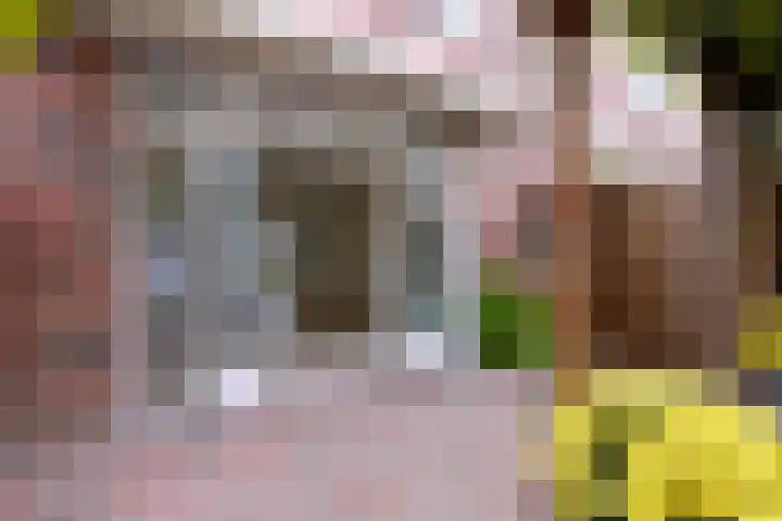 Veerispad 4 Deventer thumbnail 19