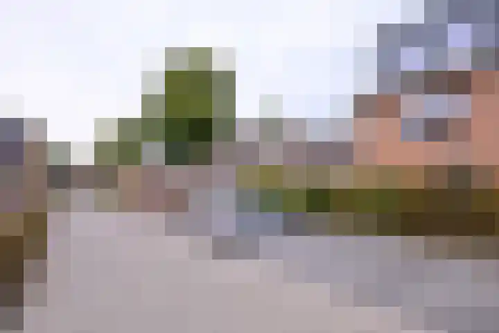 Veerispad 4 Deventer thumbnail 31