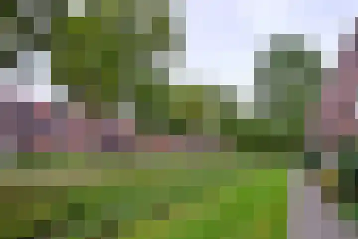Veerispad 4 Deventer thumbnail 32