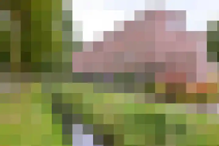 Veerispad 4 Deventer thumbnail 33