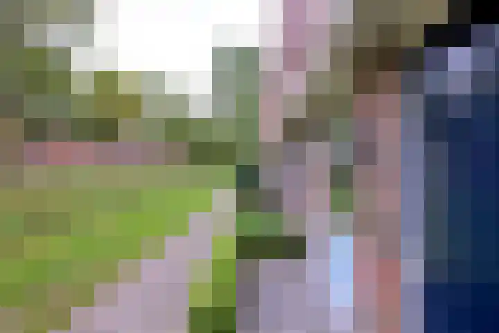 Veerispad 4 Deventer thumbnail 5