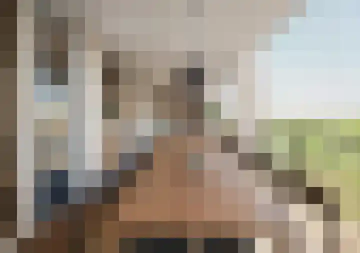 Veerkade 118 Almere thumbnail 9