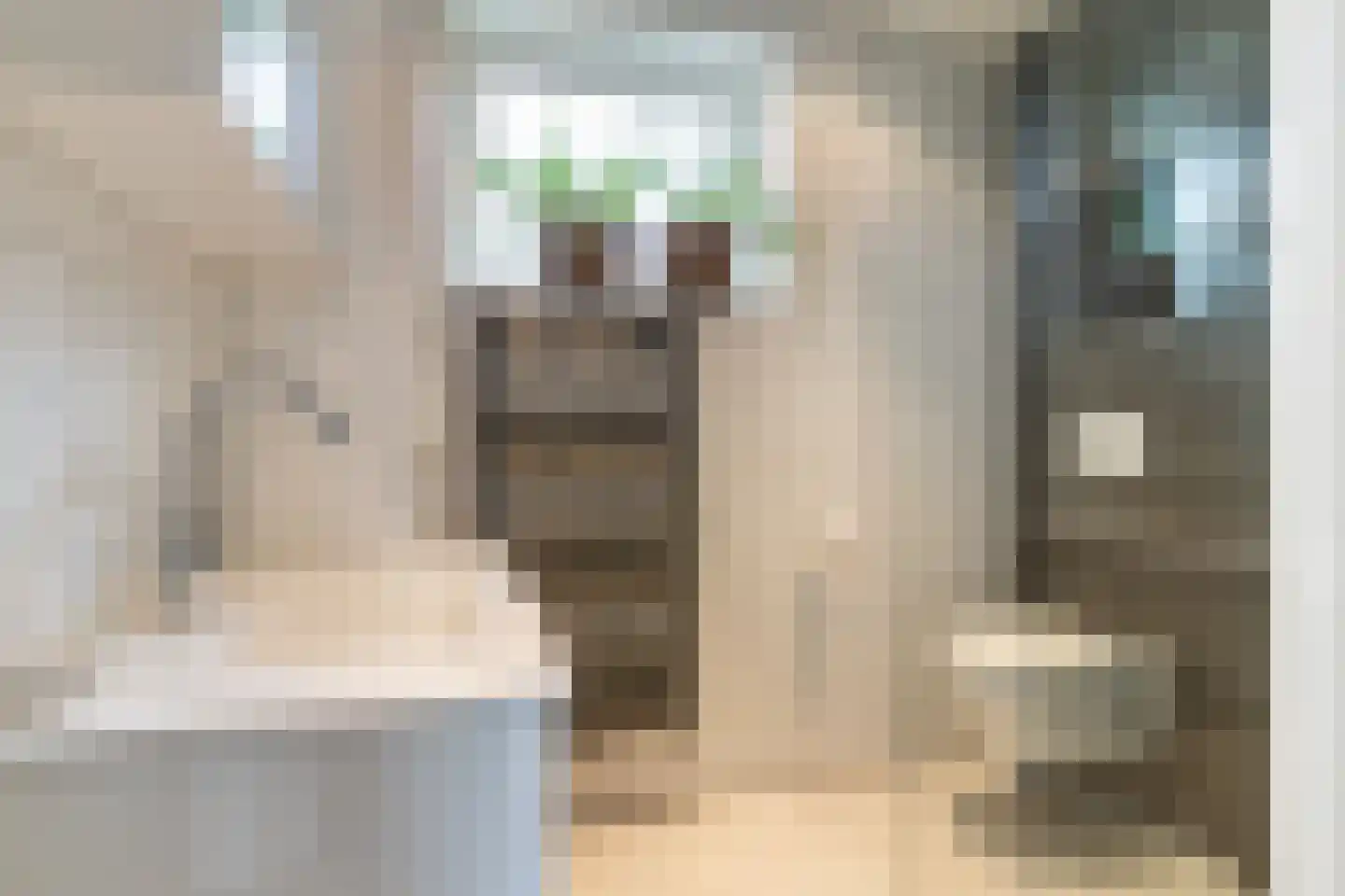 Veerlaan 14 Haastrecht thumbnail 11