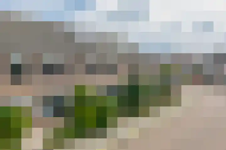 Veerlaan 2 Haastrecht thumbnail 10
