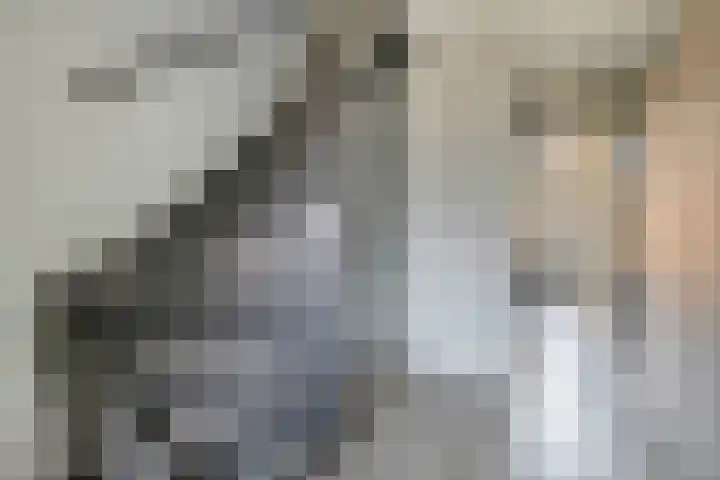 Veerlaan 2 Haastrecht thumbnail 12