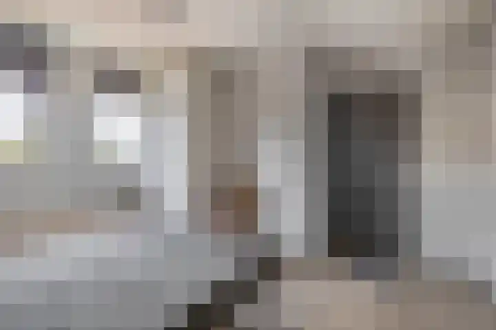 Veerlaan 2 Haastrecht thumbnail 24