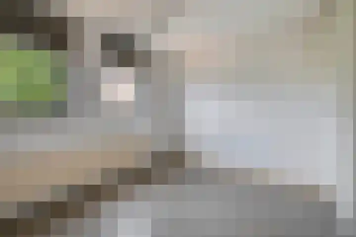Veerlaan 2 Haastrecht thumbnail 26