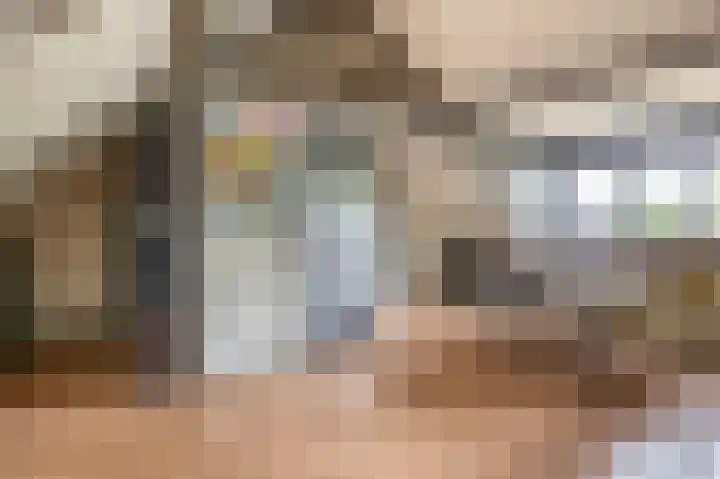 Veerlaan 2 Haastrecht thumbnail 32