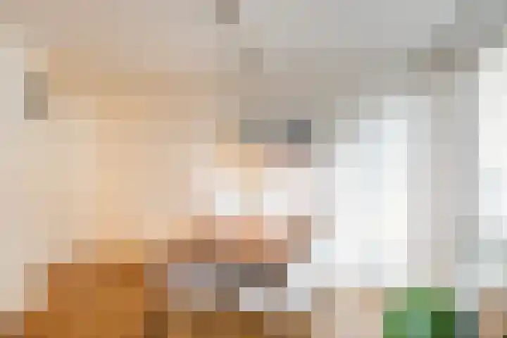 Veerlaan 24 C Rotterdam thumbnail 11