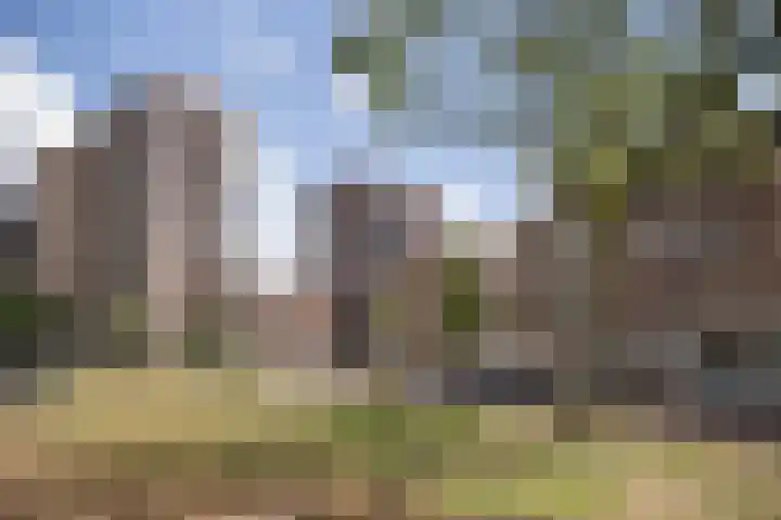 Veerlaan 24 C Rotterdam thumbnail 25