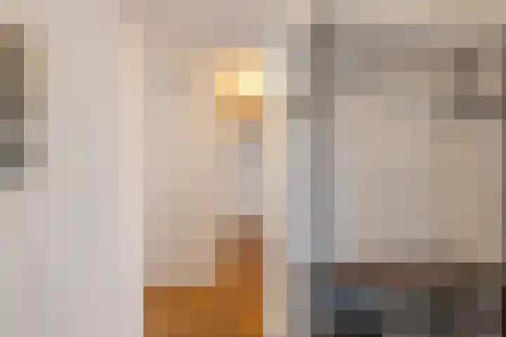 Veerlaan 24 C Rotterdam thumbnail 8