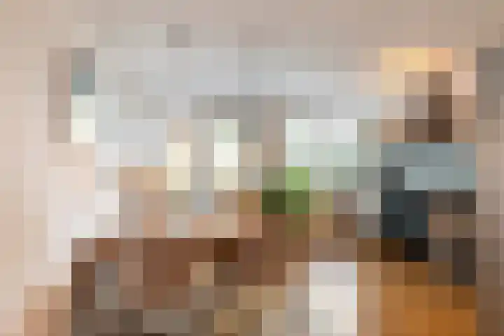 Veerlaan 24 C Rotterdam thumbnail 9