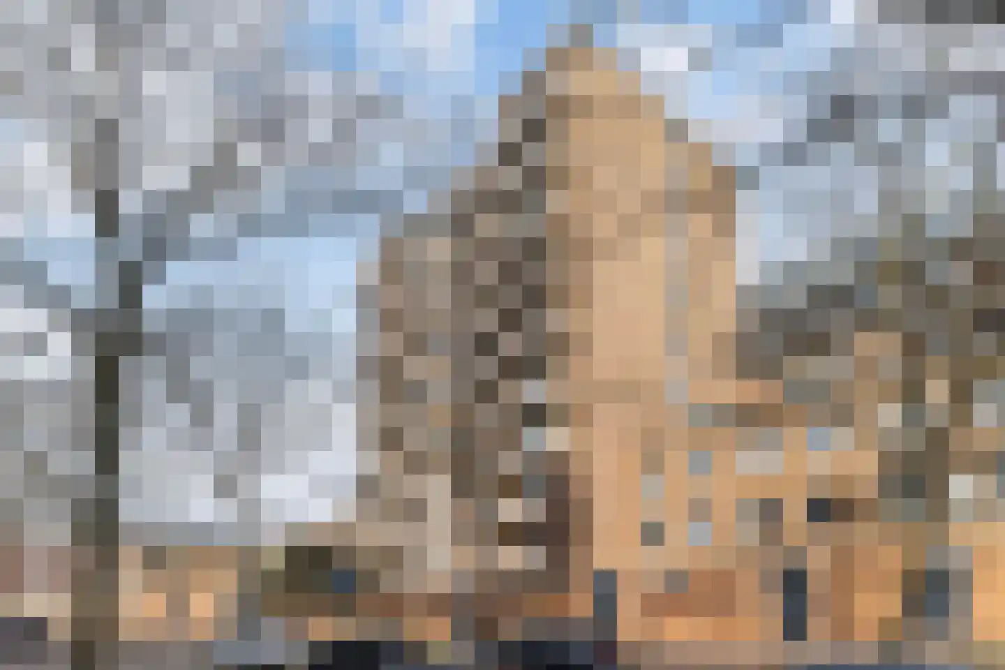 Veerlaan 42 A Rotterdam thumbnail 16