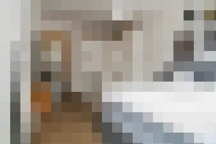 Veerlaan 6 Rotterdam thumbnail 15