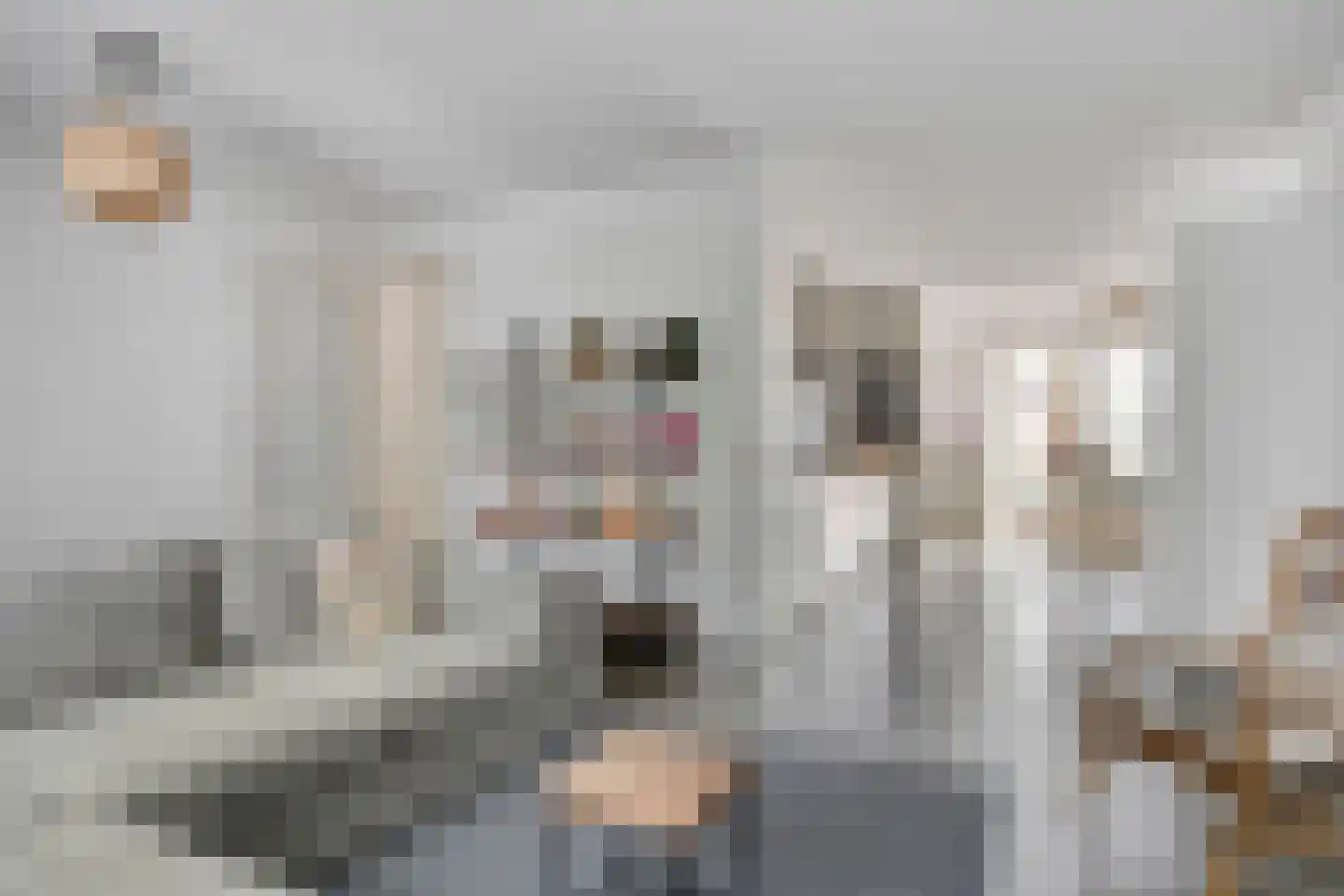 Veerlaan 62 C Rotterdam thumbnail 4