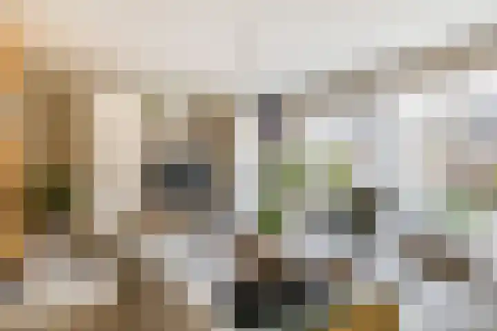 Veerman 48 Spijkenisse thumbnail 12