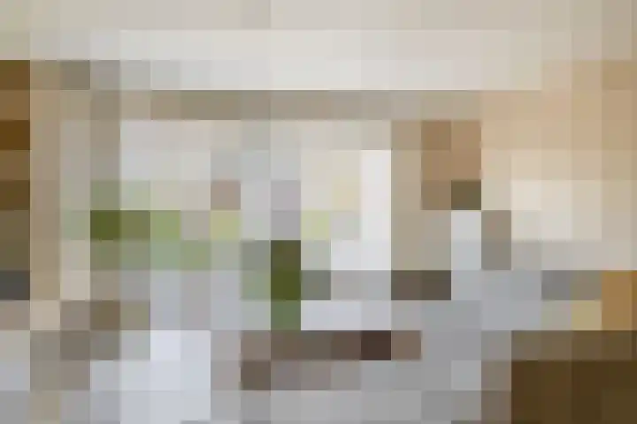Veerman 48 Spijkenisse thumbnail 13