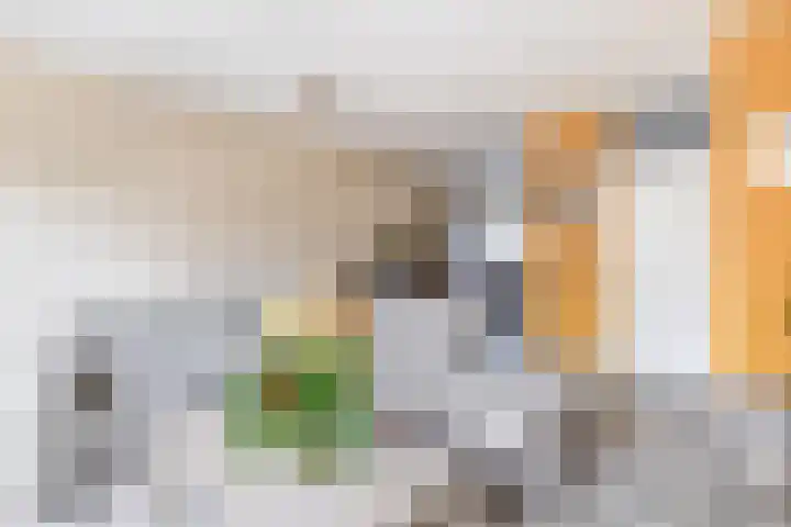 Veerman 48 Spijkenisse thumbnail 14