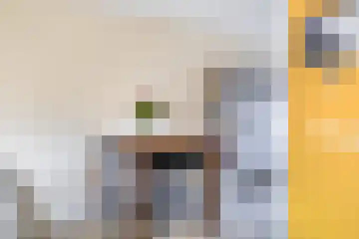 Veerman 48 Spijkenisse thumbnail 17