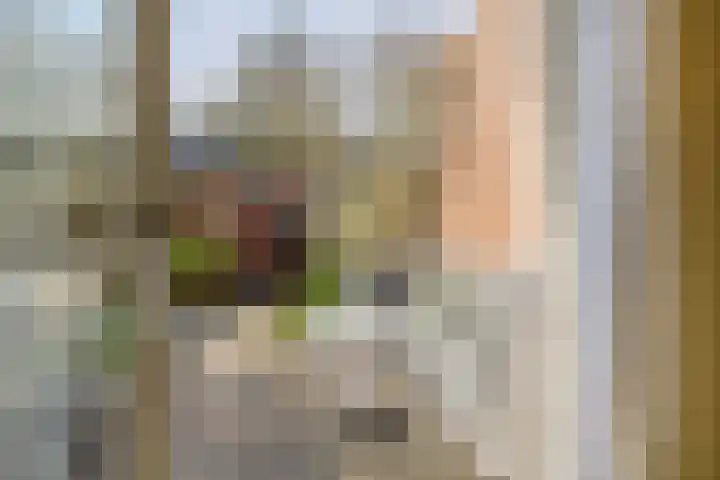 Veerman 48 Spijkenisse thumbnail 21